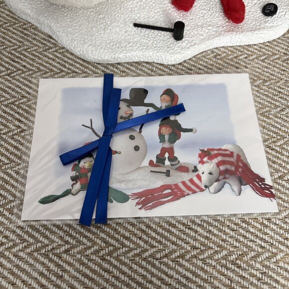 Annalee Doll 2005 Snow Friends Membership Kit 9" Tall - Picture 3 of 10